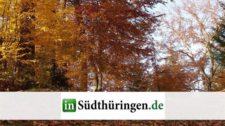 Immanuel Suchtberatung Bad Salzungen - Nachricht - Lese-Tipp: "Präventionsarbeit in der Natur" - Südthüringer Zeitung - Wald